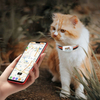 4G Gps Tracker prend en charge la position en temps réel pour l'animal de compagnie