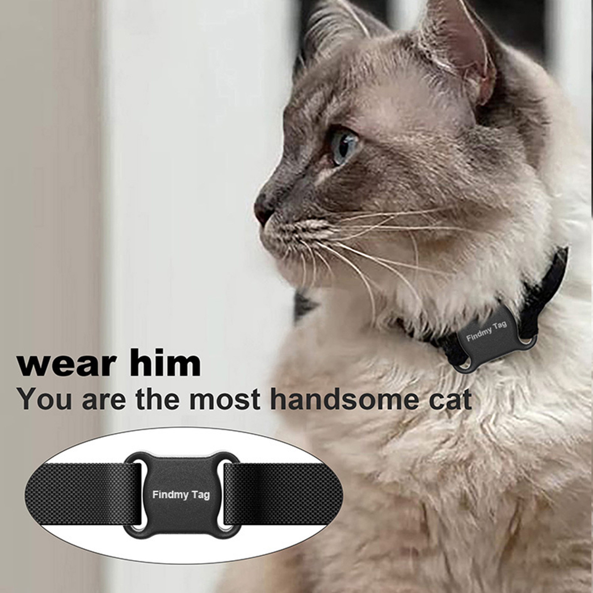 NFC Forum Type 2 Tag GPS Tracking Device pour animaux de compagnie